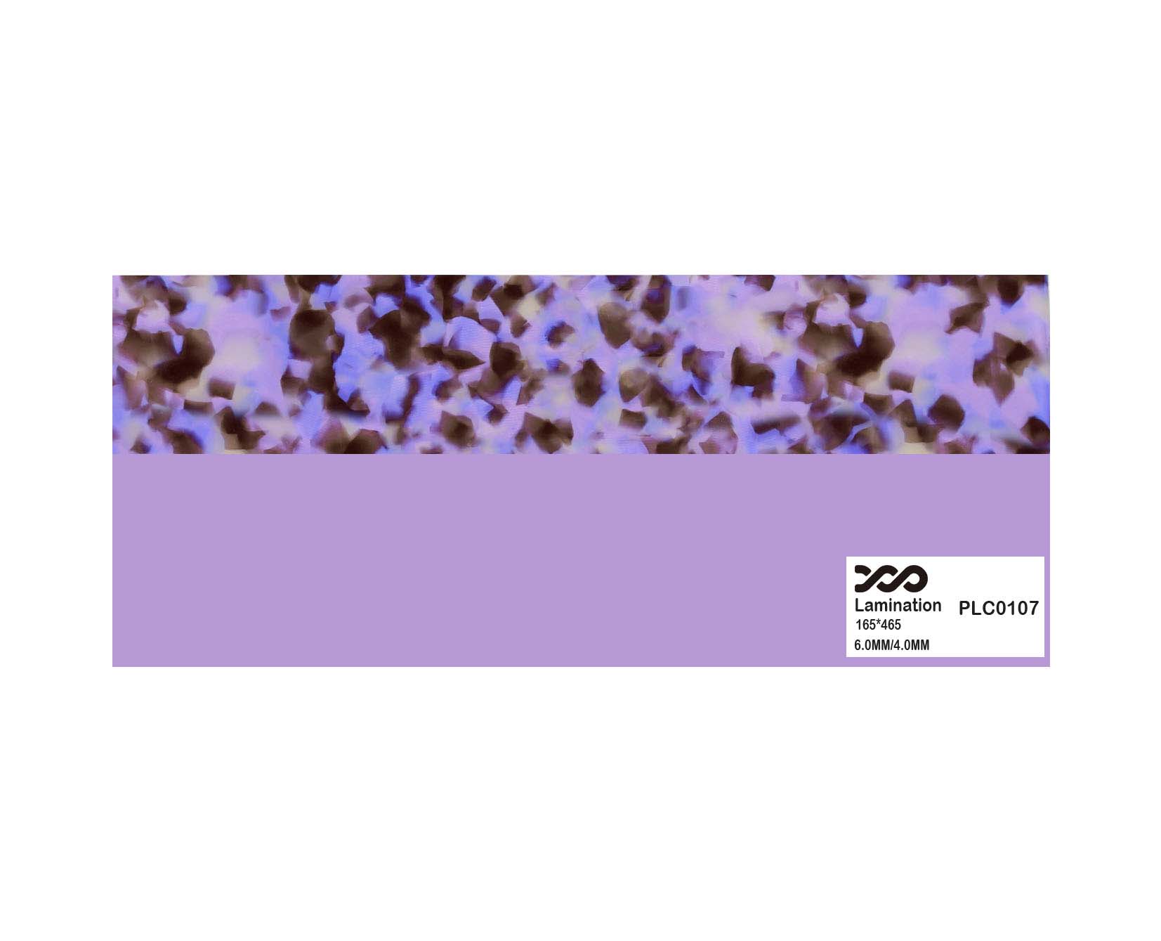 PLC0107